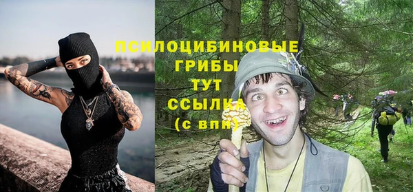 кристаллы Корсаков