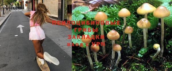 эйфоретик Коряжма