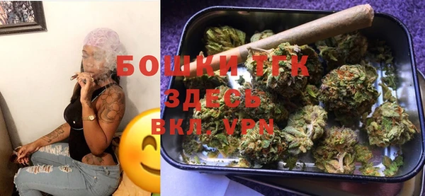 сатива Костерёво